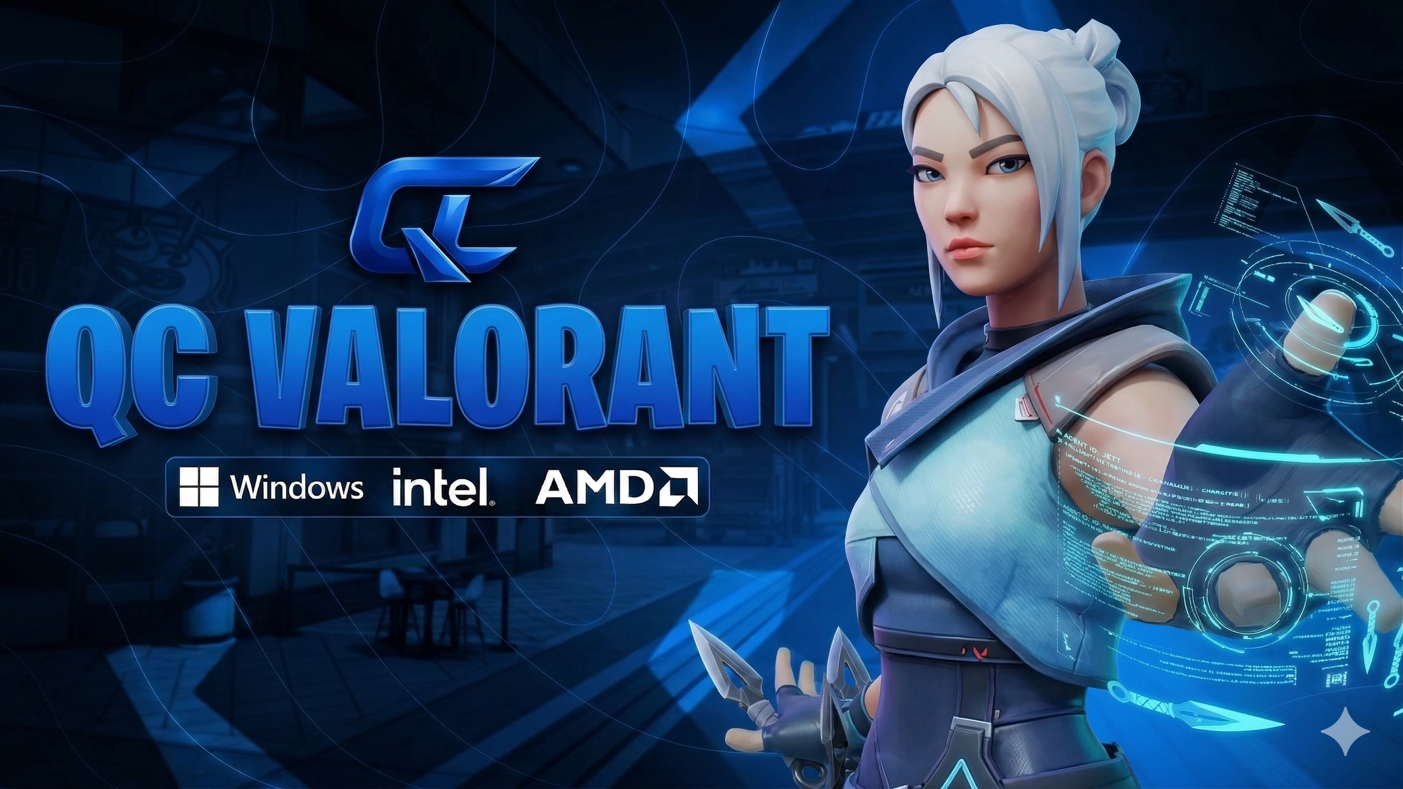 QC Valorant software box art